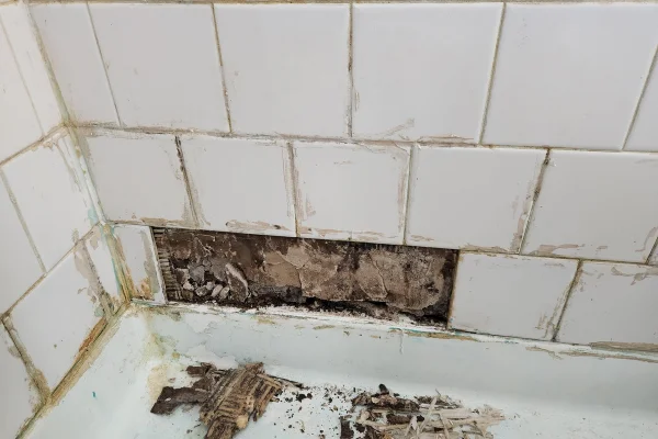 Cracked or loose tiles - Good Vibes Construction
